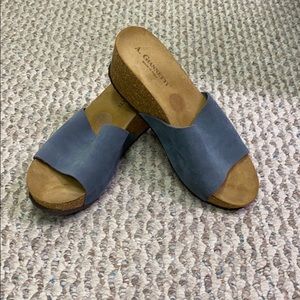 A. Giannetti Italian Suede Slip On Wedge Sandal